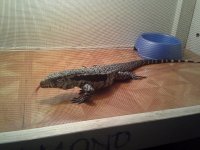 20120607_202022.jpg