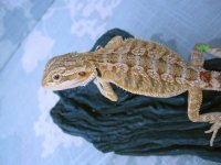 IMG_3295.jpg