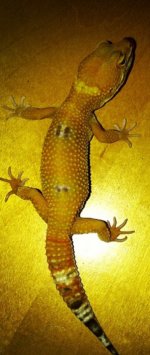 iphone pics 064.jpg