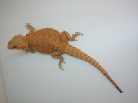 2012-07-07 13.51.39.jpg