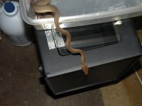 dscn1270.jpg