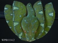 RSCN3018 copy.jpg