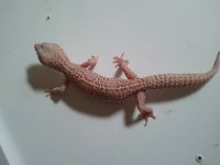 2012-04-14 13.13.46.jpg
