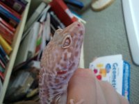 2012-04-14 13.12.59.jpg