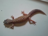 2012-04-14 13.11.04.jpg