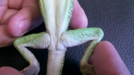 2011-07-12_13-30-51_927.jpg