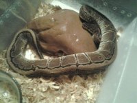 2012-03-049515_2.29.53.jpg