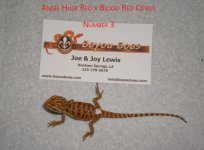 BloodRed3.jpg