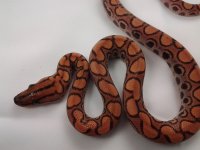 20120607_135236.jpg