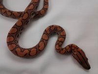 20120607_135431.jpg