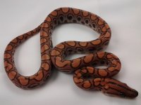20120607_135301.jpg