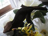 389275_10150995220789744_929004942_n.jpg