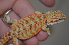 DSC_7377.jpg