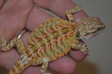 DSC_7371.jpg