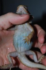 DSC_0488.jpg
