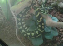 IMG00040-20120402-0759.jpg