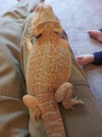525840_161017070698952_411233290_n.jpeg