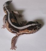 AD0010.jpg