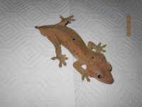 IMG_1544.jpg