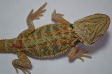 R7_6-8-2012_08.jpg