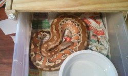 2011-09-08 09.04.24.jpg