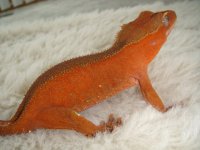 559337_10150768029709744_698954743_11461504_1533538254_n.jpg