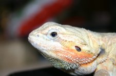 IMG_3107.jpg