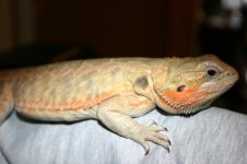 IMG_3113.jpg