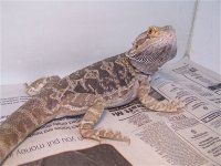 100_3093.jpg