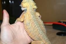 IMG_3102.jpg