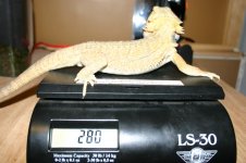 IMG_3104.jpg