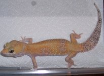 EB_0470.jpg