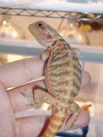 105_2027.jpg