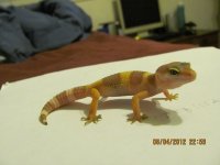 IMG_2270.jpg