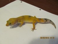 IMG_2272.jpg