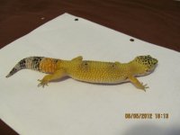 IMG_2274.jpg