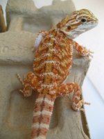 IMG_3025.JPG