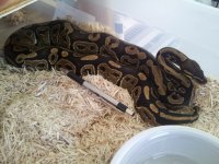 20120725_155529.jpg