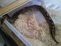 20120725_155728.jpg
