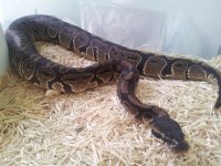 20120726_144527.jpg