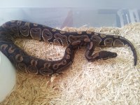 20120726_144540.jpg