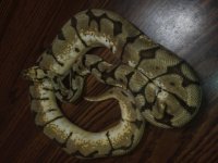 IMG_20120411_094737.jpg