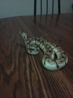 IMG_20120411_094428.jpg