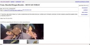 Untitled.jpg