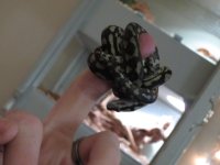 IMG_0030.jpg IMG_0030.jpg