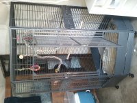 cage.jpg
