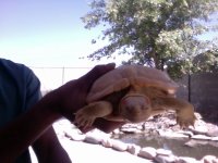 Video Snapshot-3.jpeg
