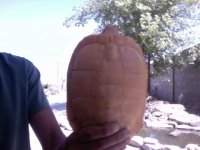 Video Snapshot-4.jpeg