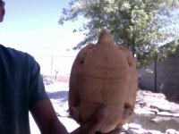 Video Snapshot-5.jpeg
