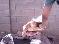 Video Snapshot-14.jpeg